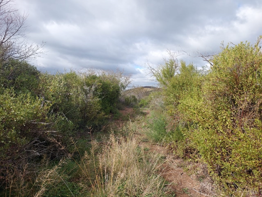 7 Bedroom Property for Sale in Ladismith Rural Western Cape